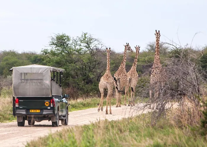 Mushara Bush Camp